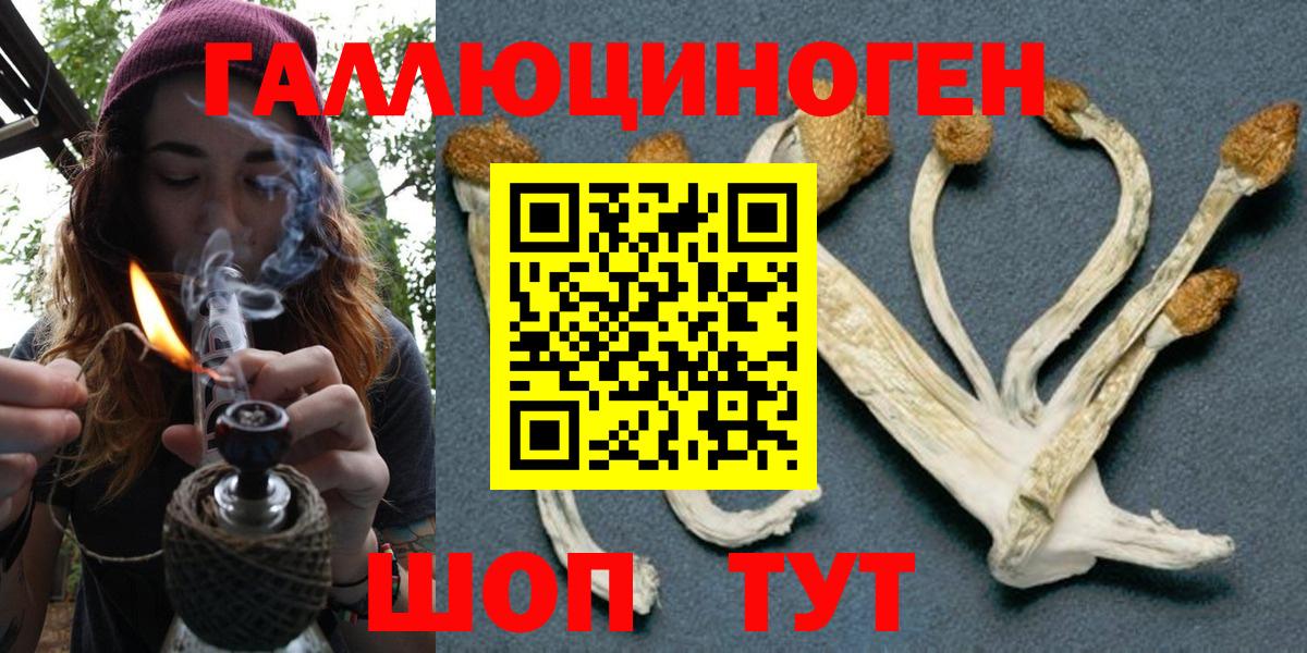 Псилоцибиновые грибы GOLDEN TEACHER  Вход с VPN  Гай 