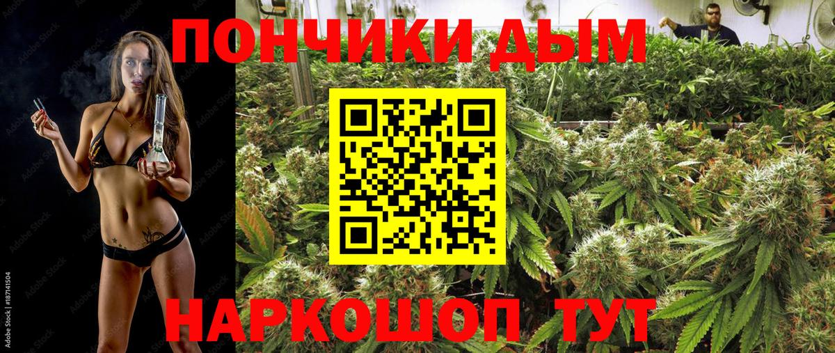 Гай  Каннабис OG Kush  Шишки марихуана OG Kush  Вход с VPN 